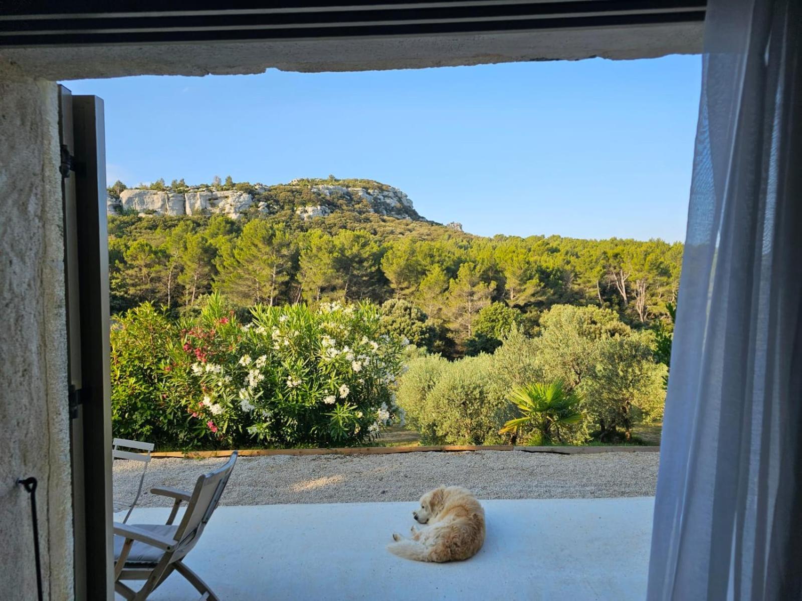 Mas De La Fadeto Bed and Breakfast Les Baux-de-Provence Eksteriør billede